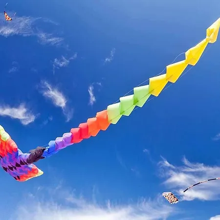 With A Terrace, Apartment